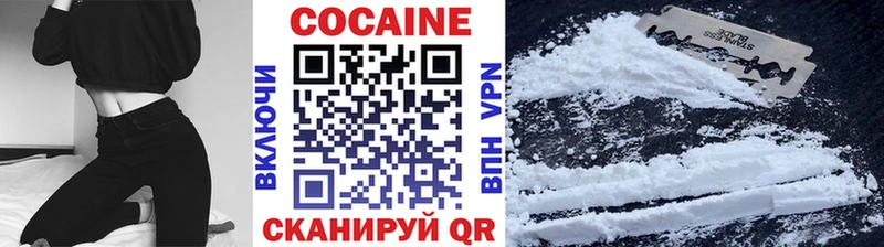 сколько стоит  hydra вход  КОКАИН Fish Scale  Судогда 