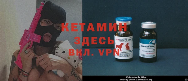 ешки Алексин