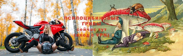 героин Алзамай
