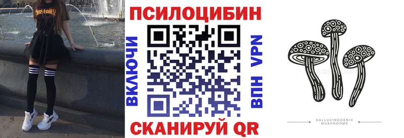 Галлюциногенные грибы Magic Shrooms  где найти   Судогда 